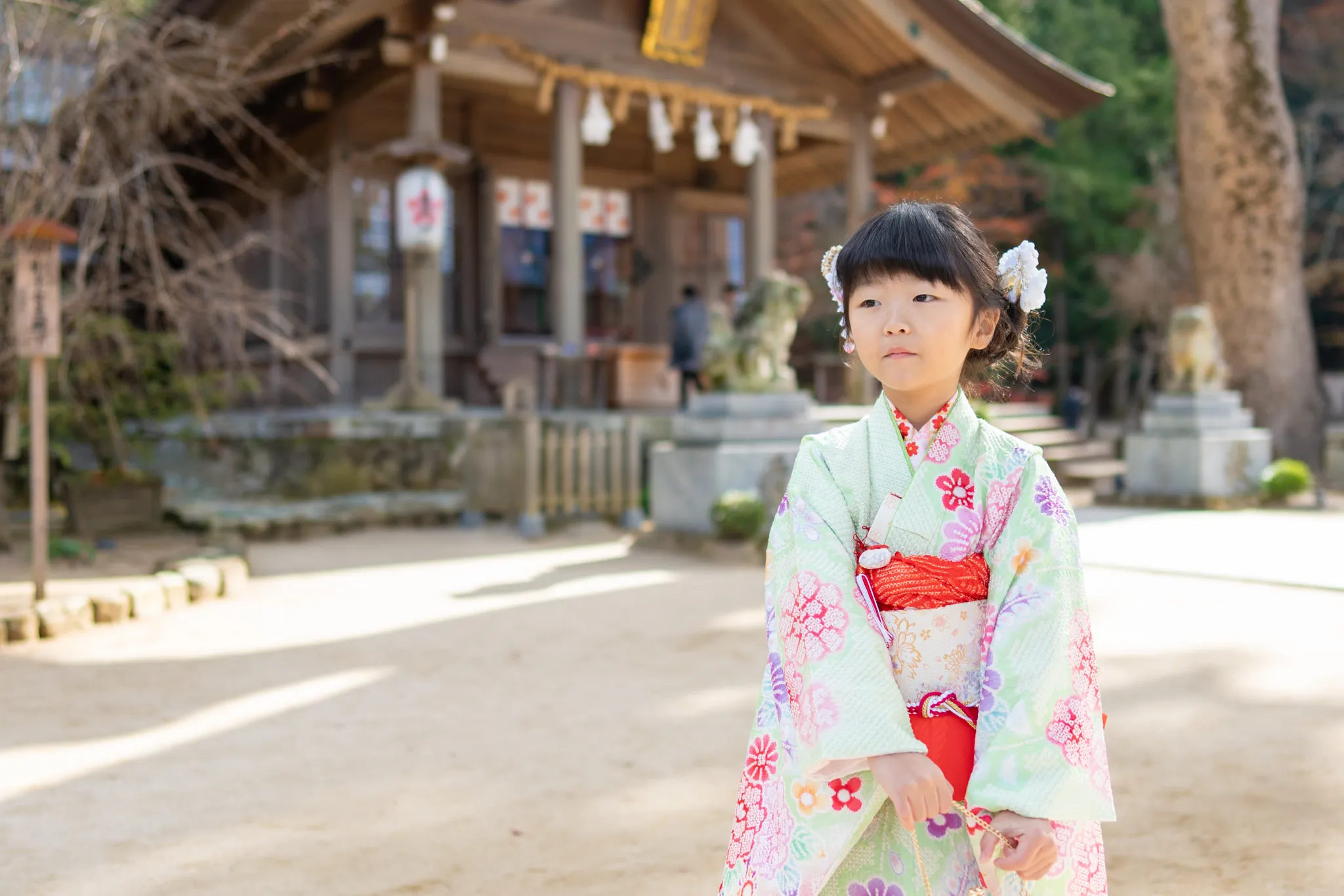 【福岡県太宰府市で家族写真撮影】７歳の七五三撮影です。本殿の床暖房完備がとても嬉しいです。本殿での撮影も可能です。7