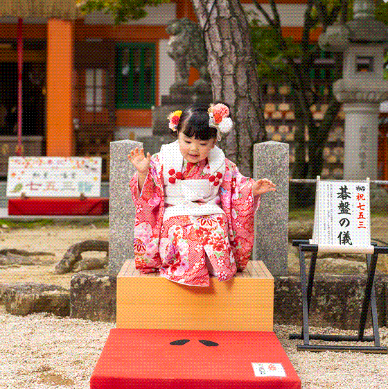 【福岡県福岡市早良区で七五三撮影】３歳の女子です。お誕生日と重なり、特別なお祝いの一日となったようで、大変嬉しく思います。1