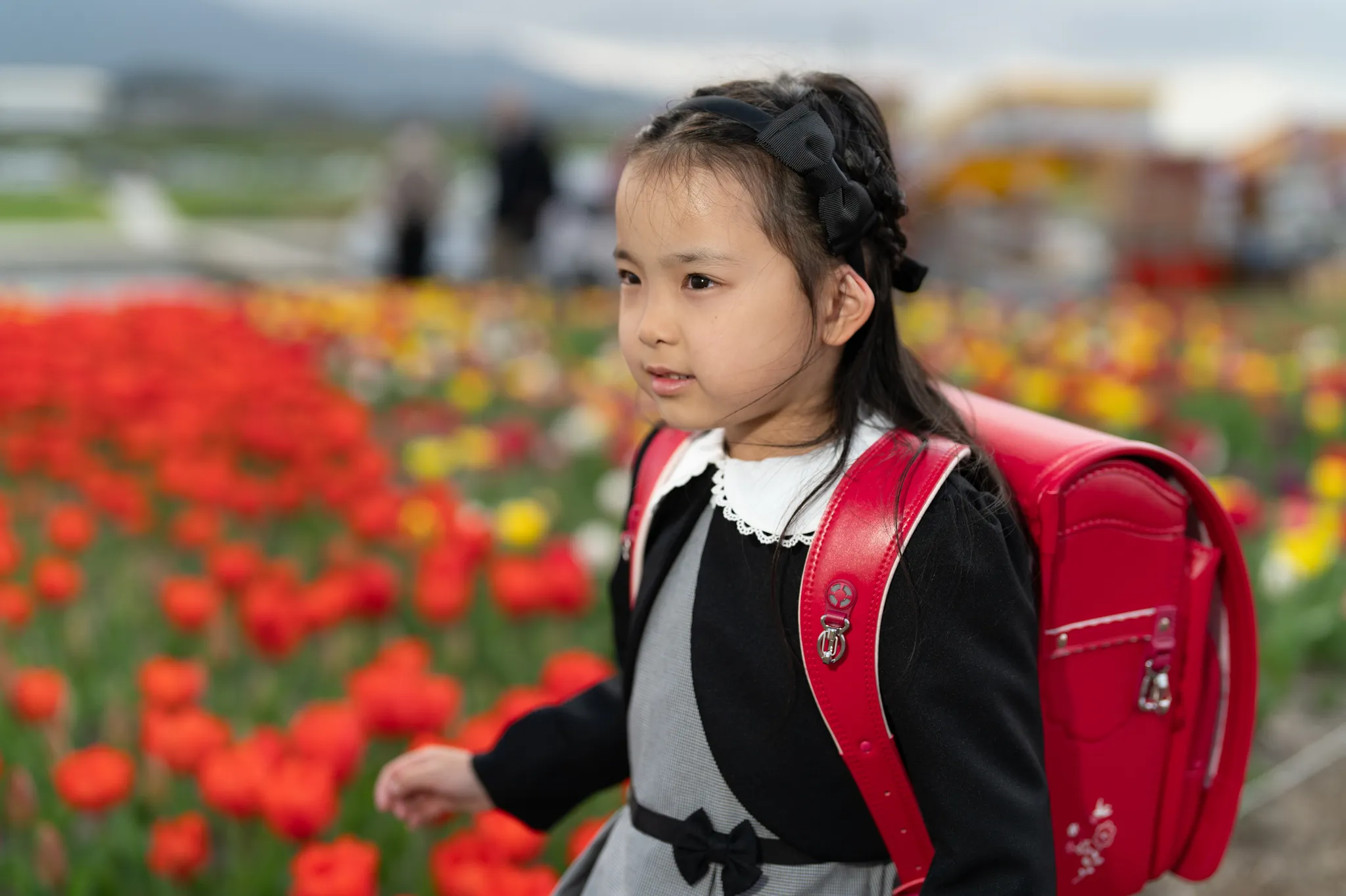 【福岡県直方市で家族写真撮影】新1年生の女の子との家族撮影と、わんちゃんの撮影をさせていただきました。2