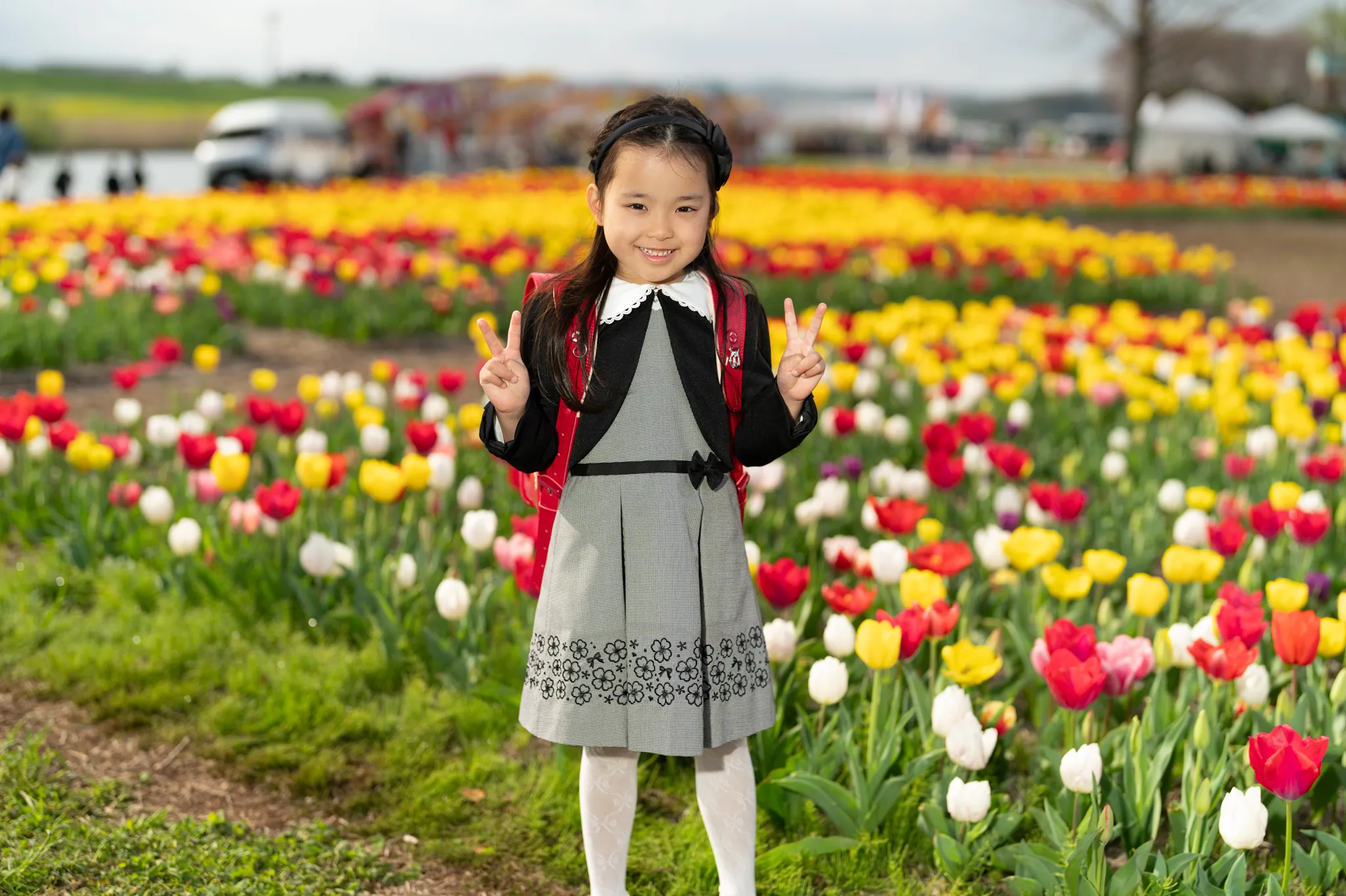 【福岡県直方市で家族写真撮影】新1年生の女の子との家族撮影と、わんちゃんの撮影をさせていただきました。3