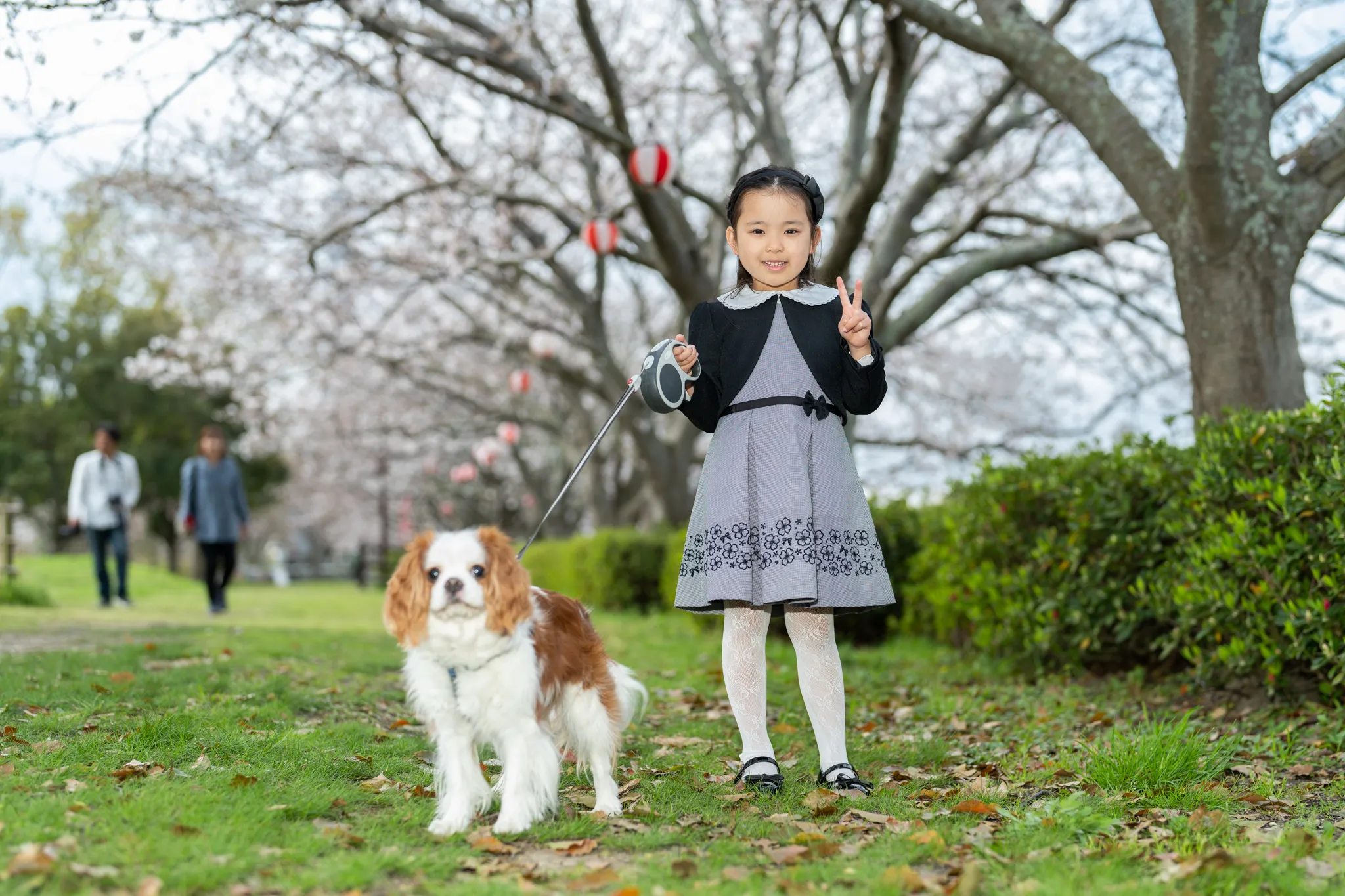 【福岡県直方市で家族写真撮影】新1年生の女の子との家族撮影と、わんちゃんの撮影をさせていただきました。4