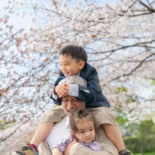 【福岡県糟屋郡粕屋町で家族撮影】新1年生の男の子と妹さんとご両親で桜の中で家族撮影をさせていただきました。1